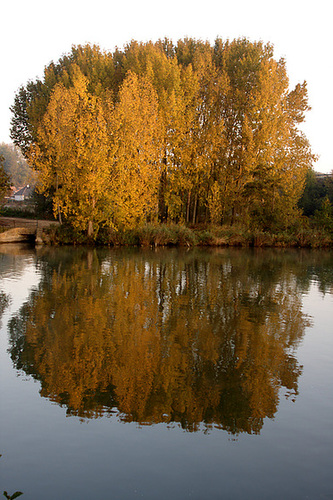 Saturday morning, Oise