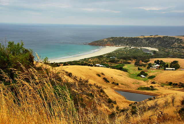 Kangaroo Island.