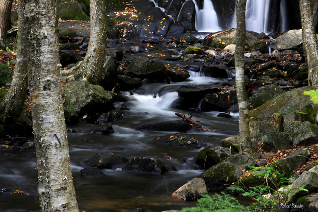 Parc écologique Jean-Paul Forand au Mont Shefford
