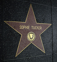 Great L.A. Walk (1288) Sophie Tucker