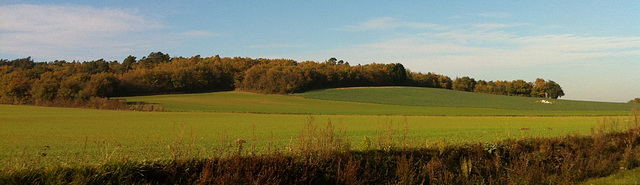 IMG 1061-1