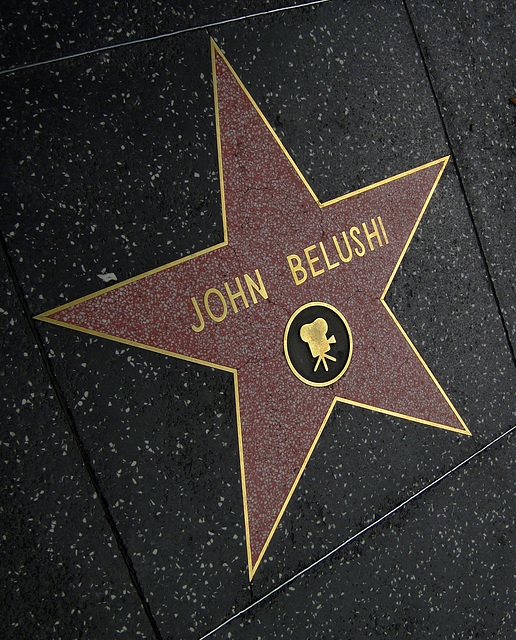 Great L.A. Walk (1298) John Belushi