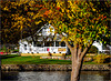 A House on the River