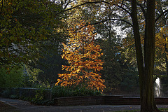 20111022 6747RAfw Kurparkteich [Bad Oeynhausen]