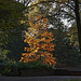 20111022 6747RAfw Kurparkteich [Bad Oeynhausen]