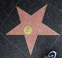 Great L.A. Walk (1353) Olivia De Havilland
