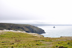 Tintagel 110908