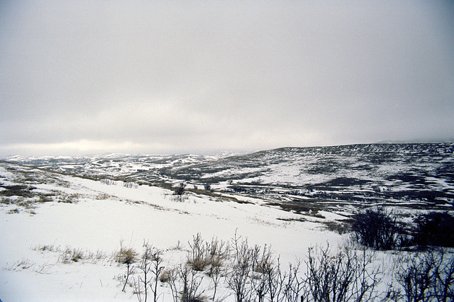 Powder River Country