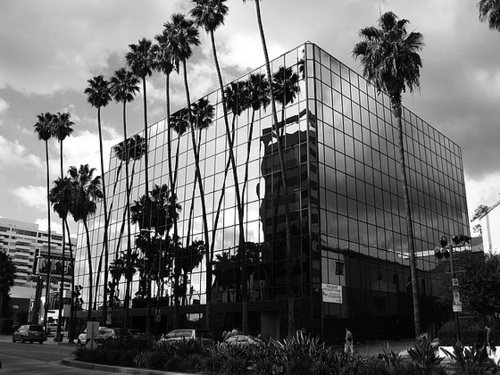Great L.A. Walk (1389A)