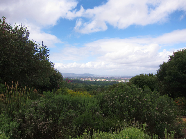 Kirstenbosch Botanical Garden ZA