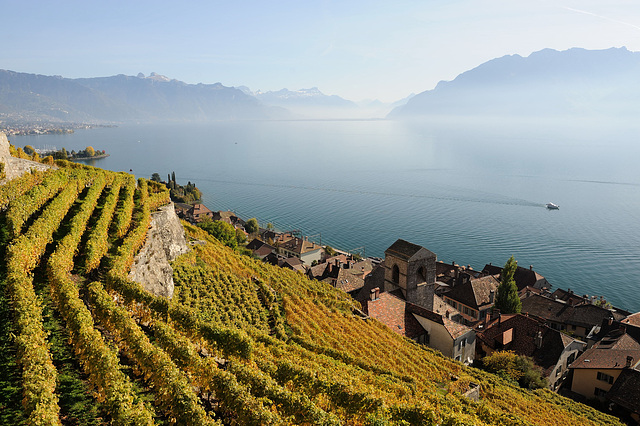 Lac Léman et le Lavaux Lac Léman et le Lavaux