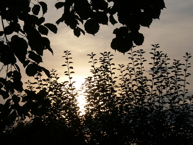 Sonnenuntergang