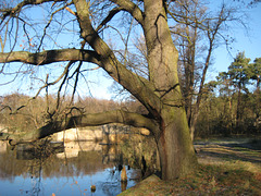 Schumkasee - Sperenberg