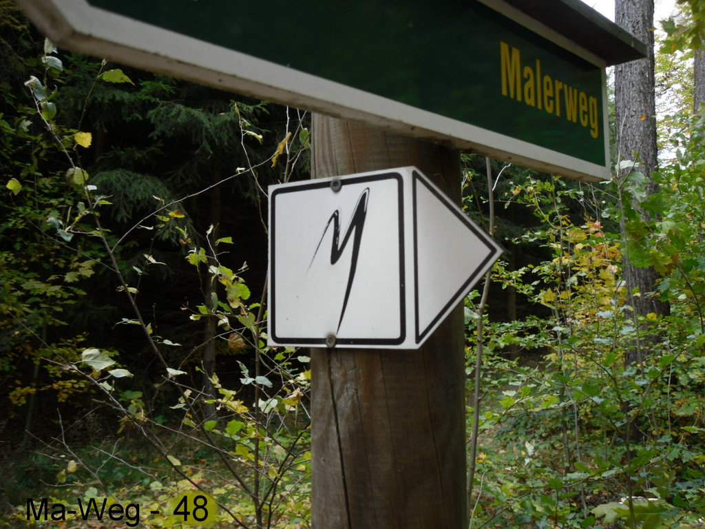 SDC10295