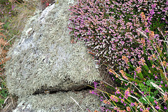 Sennen Cove - Cornwall 110907