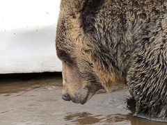 Time for a drink