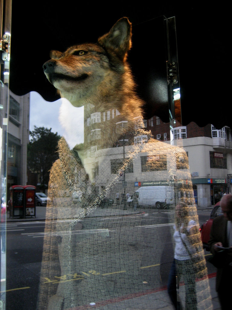 Fashion at Regent Street