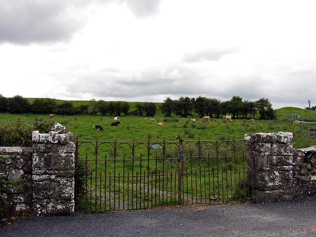 IMG 2155 Clonmacnoise