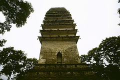 I tell you... Pagoda (from west)