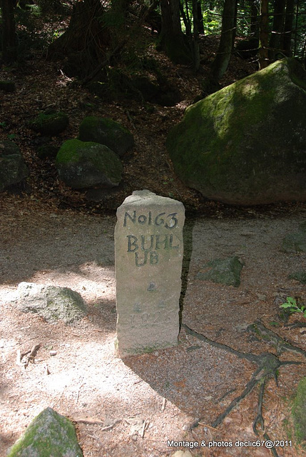 borne en forêt allemande