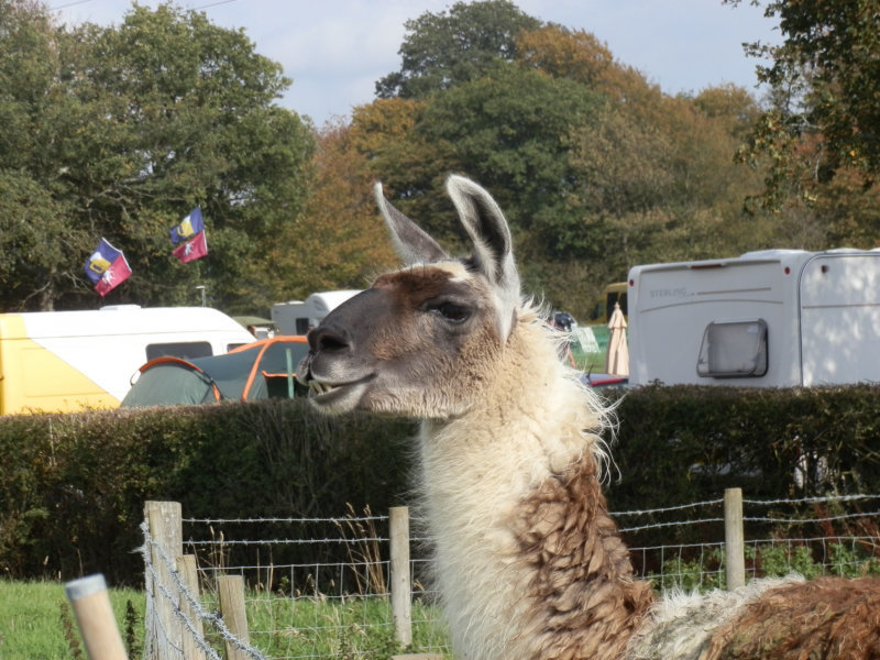 kvrseptember24252011 (506)