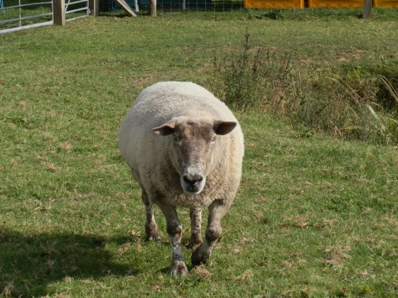 kvrseptember24252011 (507)
