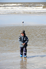 Strand-Sand-Würmchen