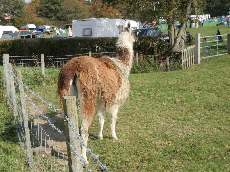 kvrseptember24252011 (509)