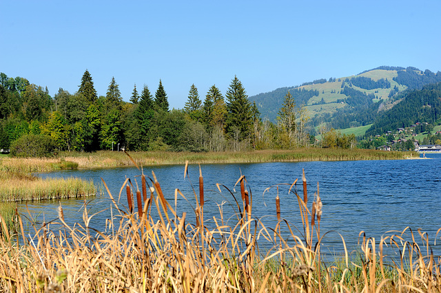 Au bord du Lac Noir...