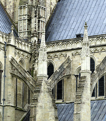 Salisbury 110831