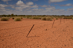 Farm fence and dry earth