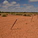 Farm fence and dry earth