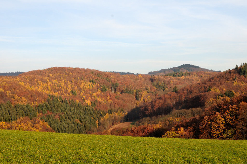 Odenwald  - 111119