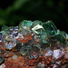 Fluorite verte