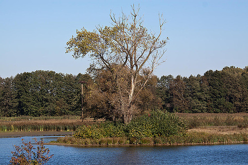 20111015 6565RAw [D-PB] Steinhorster Becken