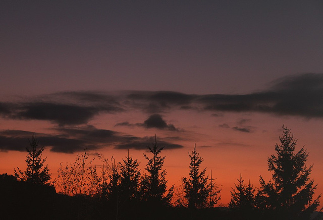 Crépuscule de novembre