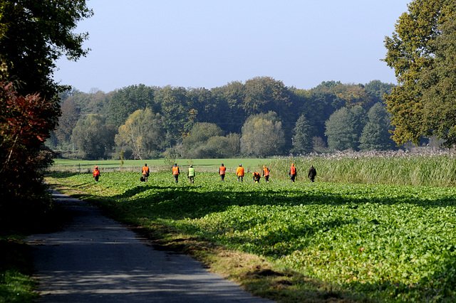 Ballerbrüder und -schwestern