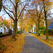 autumn in our street