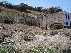 Briques chevalines /  Ladrillos y caballos /  Bricks and horses