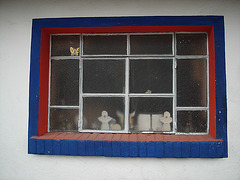 Discreet butterfly window / Fenêtre papillon discrète / Ventana mariposa discreta - 6 avril 2011