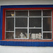 Discreet butterfly window / Fenêtre papillon discrète / Ventana mariposa discreta - 6 avril 2011