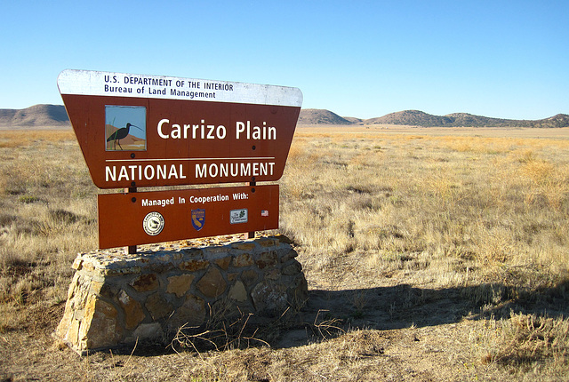 Carrizo Plain National Monument (0638)