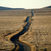 Carrizo Plain National Monument (0859)