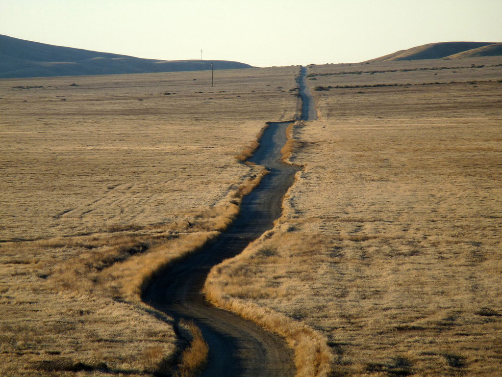 Carrizo Plain National Monument (0859)