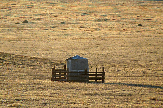 Carrizo Plain National Monument (0860)