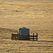 Carrizo Plain National Monument (0860)