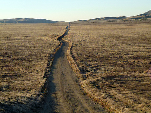 Carrizo Plain National Monument (0861)