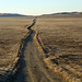 Carrizo Plain National Monument (0861)