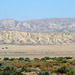 Carrizo Plain National Monument (0942)