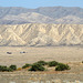 Carrizo Plain National Monument (0951)